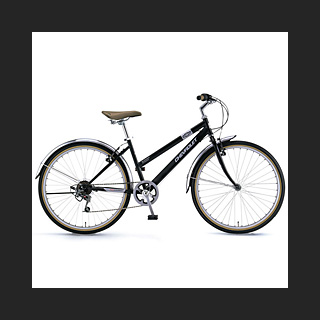 100107_bicycle.jpg
